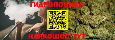 мяу мяу мука Донской