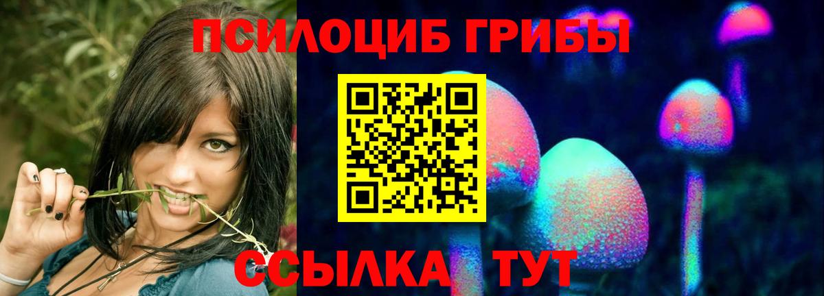Псилоцибиновые грибы GOLDEN TEACHER  Галлюциногенные грибы Psilocybine cubensis  Алексин  Вход с VPN 