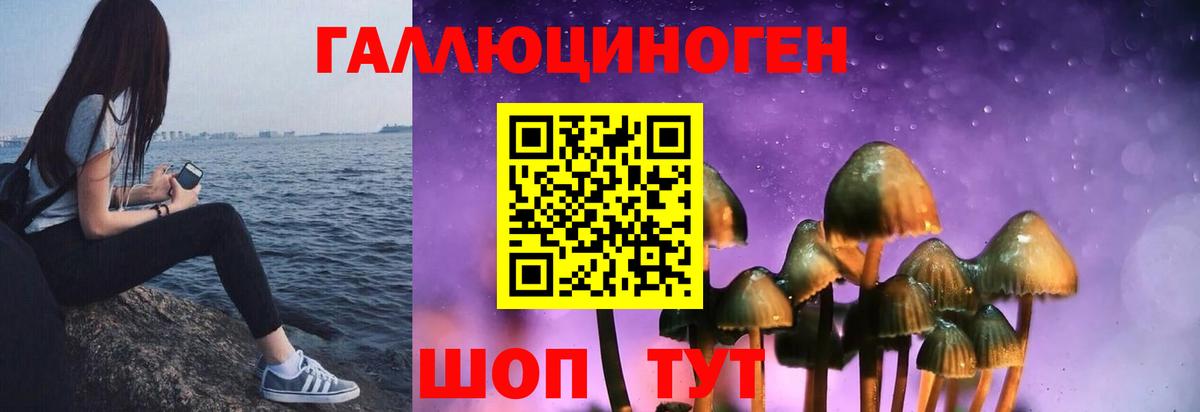 Галлюциногенные грибы Psilocybe Алексин